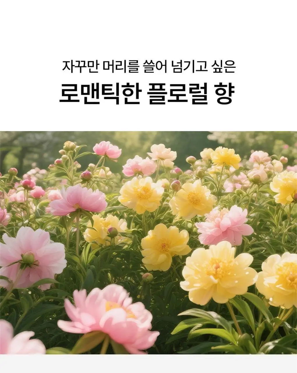 [NEW] 모레모 헤어 트리트먼트 미라클 2X 시그니처 에디션 230ml 기획 (+시그니처 60ml 증정) 상세페이지 22
